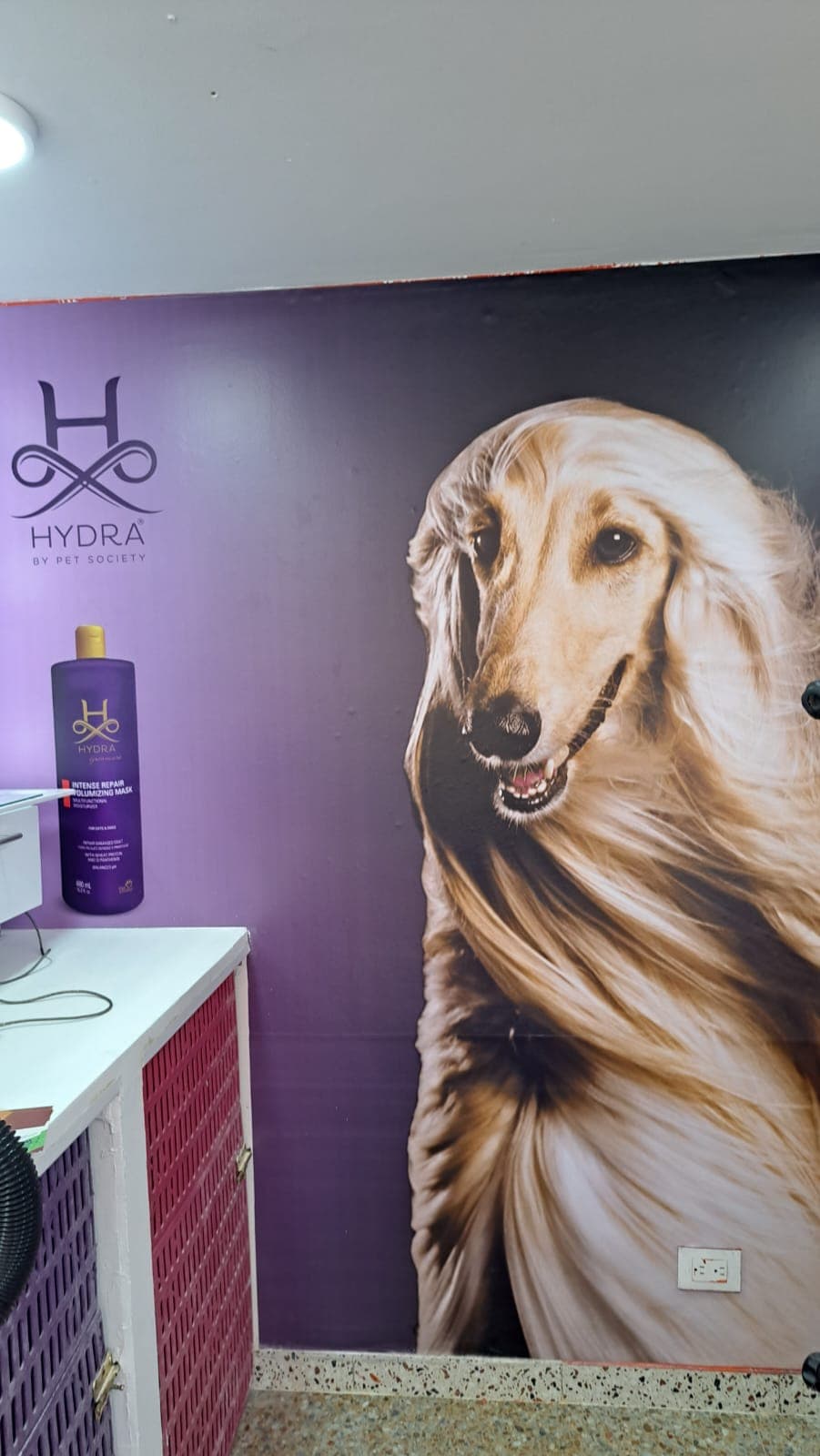 Mural de un perro afgano de pelo largo junto a productos de marca Hydra.