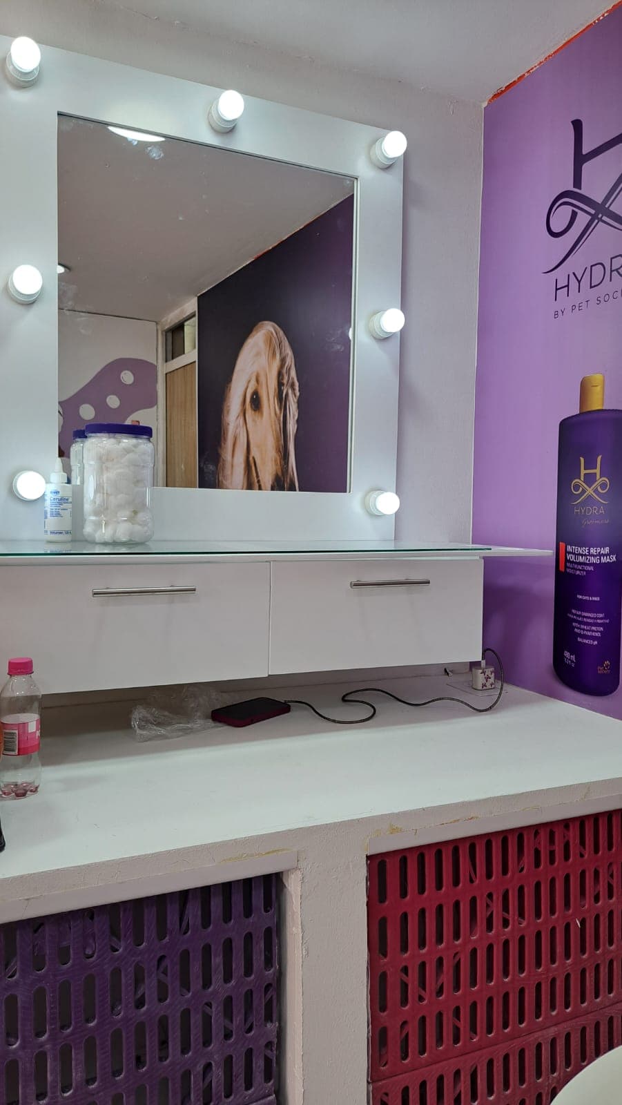 Tocador blanco con espejo iluminado reflejando un perro en una peluquería canina con paredes púrpuras.