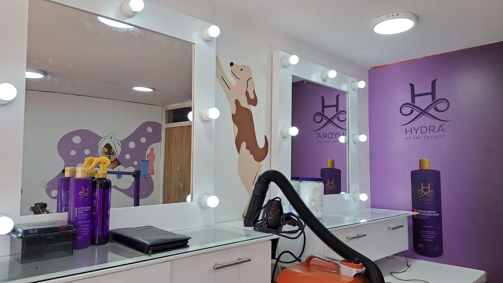 Estación de peluquería canina con espejos iluminados, productos profesionales Hydra y equipo de secado.