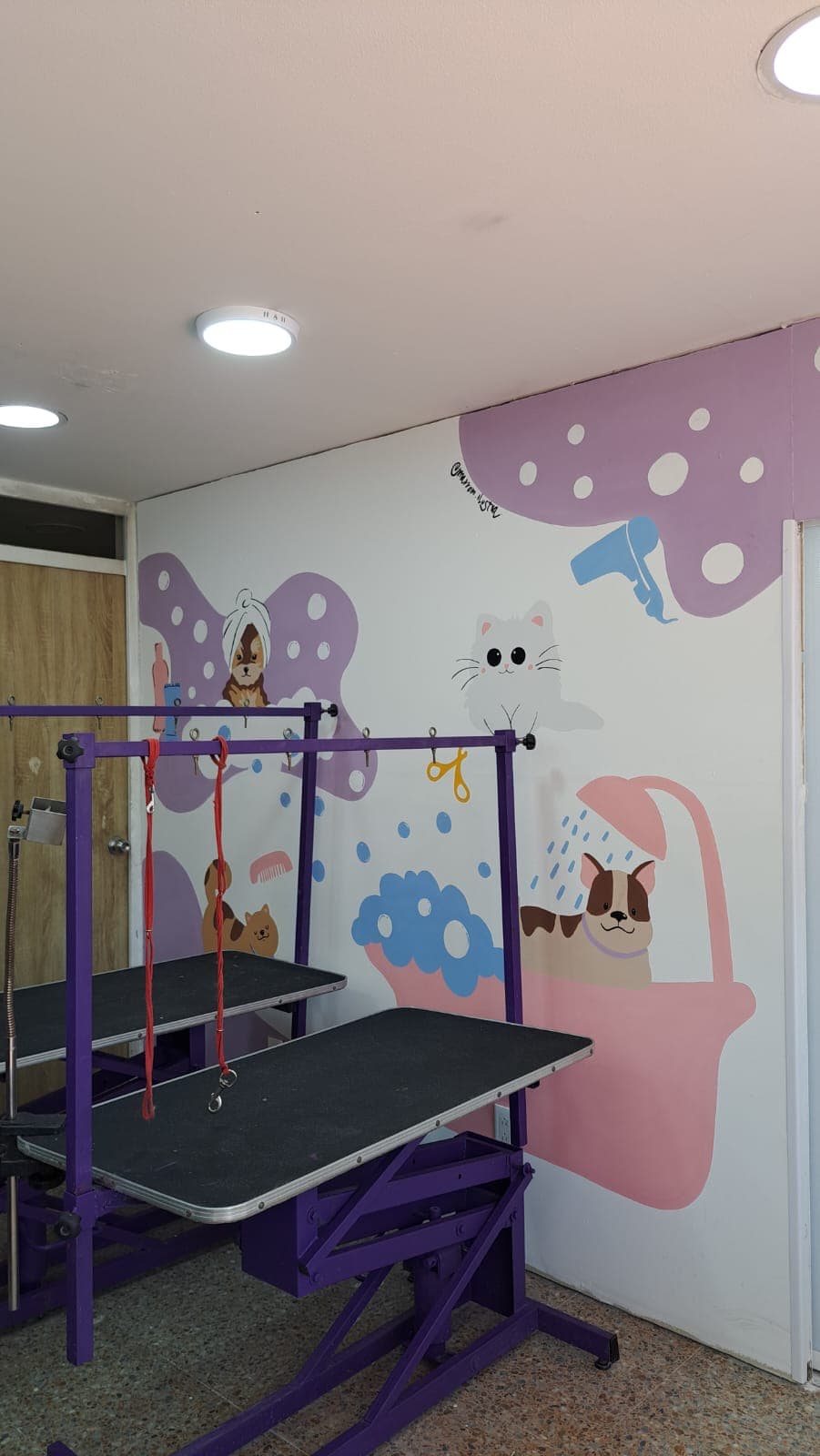 Mesas de peluquería canina moradas frente a un mural con ilustraciones de mascotas bañándose.